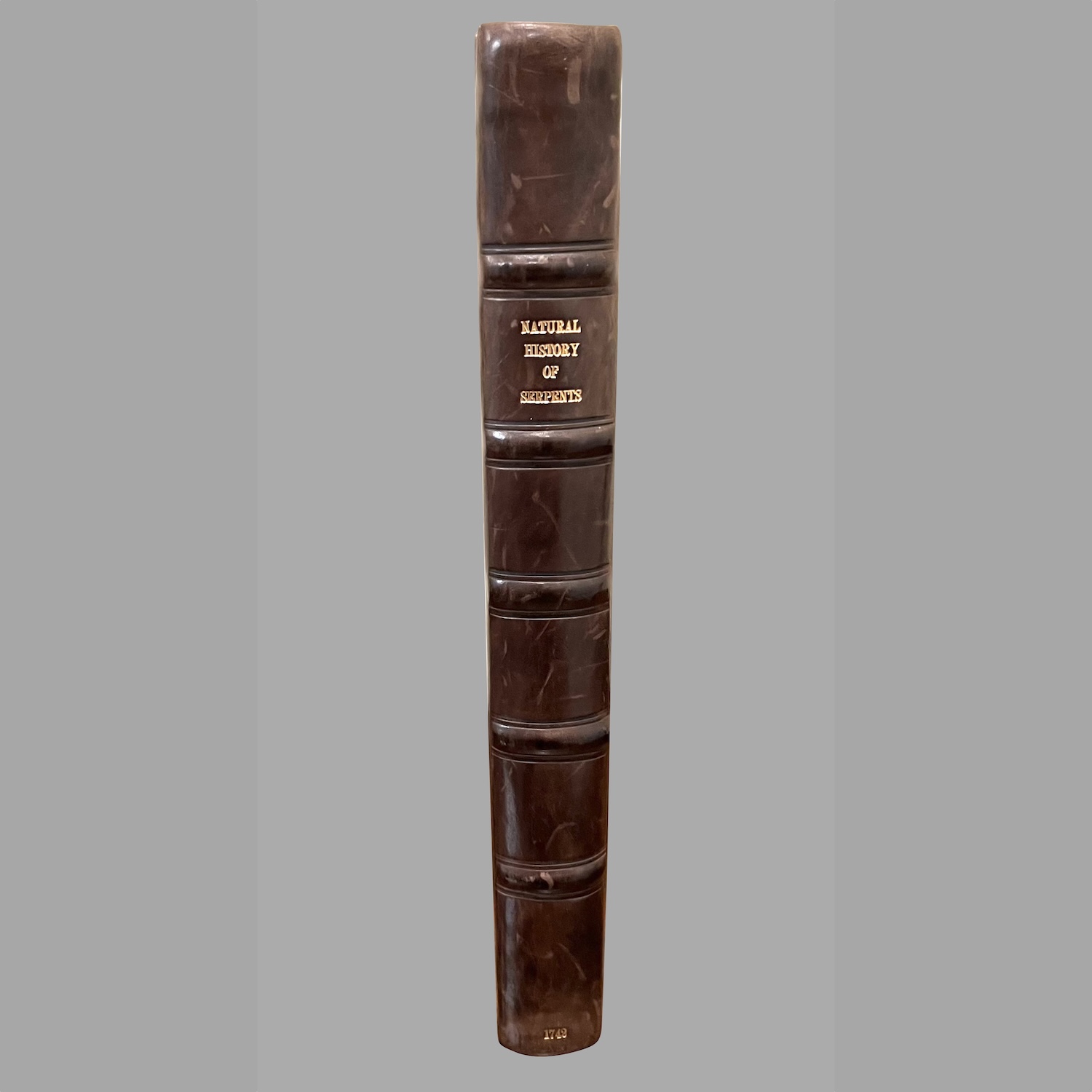 an-essay-towards-natural-history-serpents-b625-18